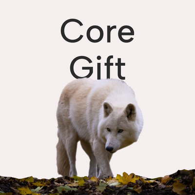 Core Gift: A Journey to Your Natural Knowing