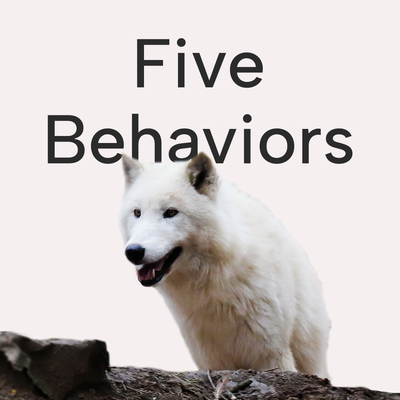 Unleashing the Power of Cohesion: The Five Behaviors® of a Cohesive Team