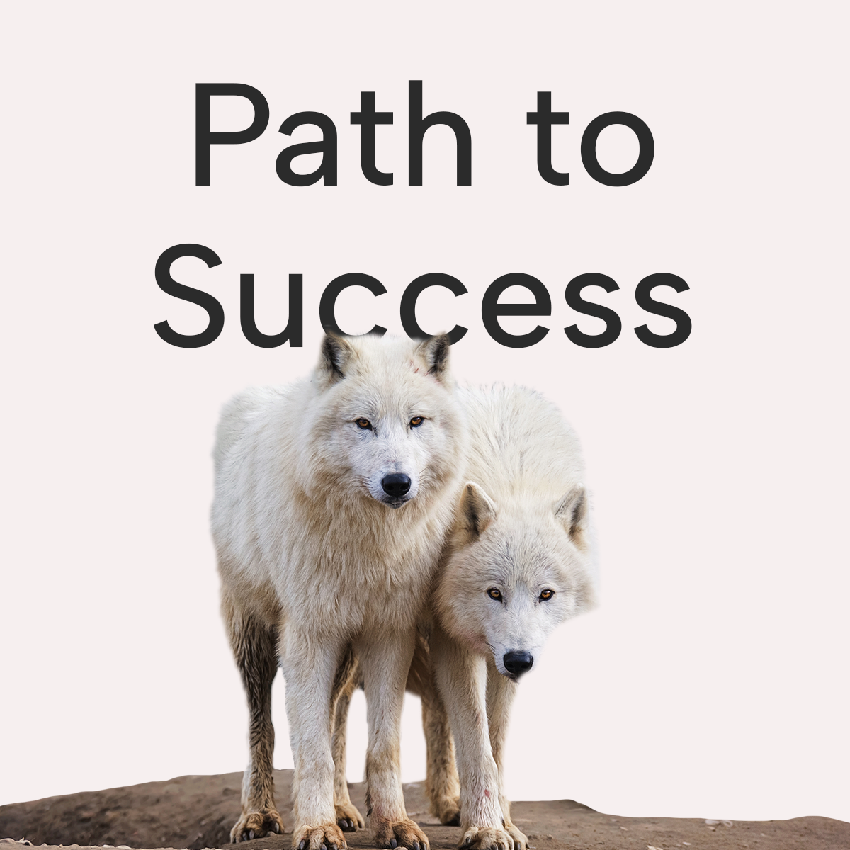 Path to Success: A Playbook for Mastering Growth